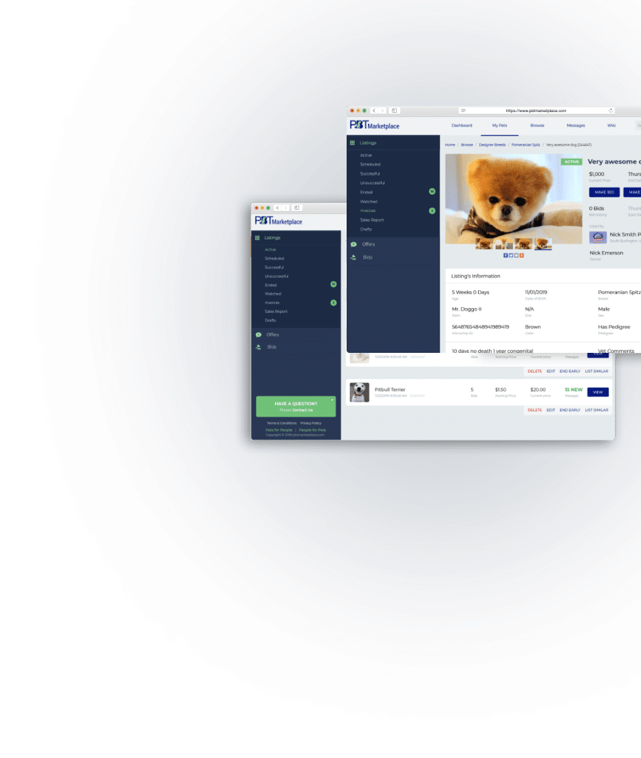 Banner image showing media software development